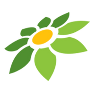 FAFAPLAY